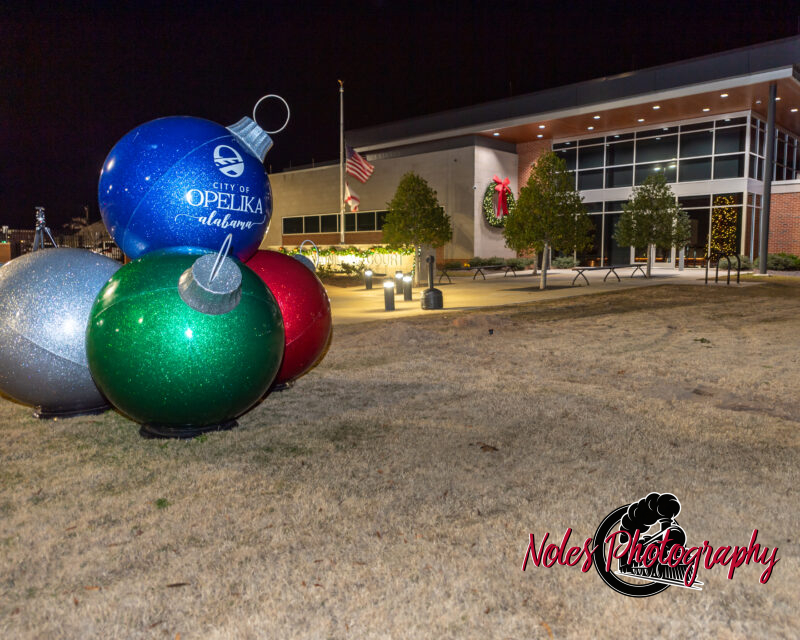 2023-Opelika-Decorations-3585