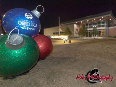 2023-Opelika-Decorations-3587