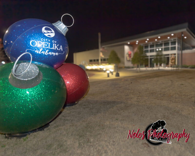 2023-Opelika-Decorations-3587