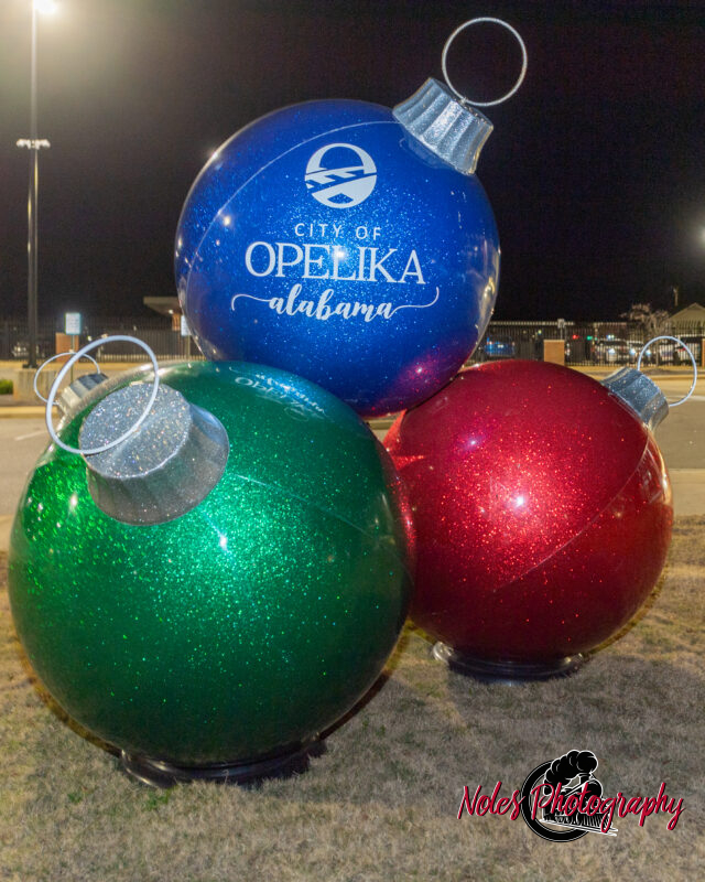2023-Opelika-Decorations-3589