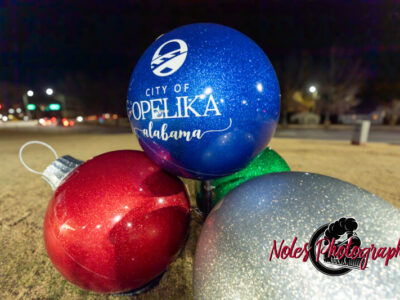2023-Opelika-Decorations-3593
