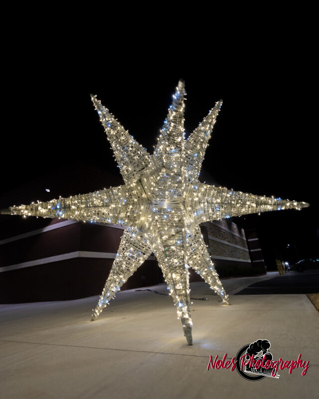 2023-Opelika-Decorations-3594