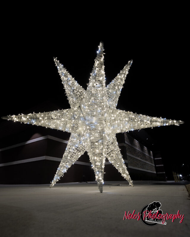 2023-Opelika-Decorations-3595