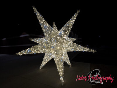 2023-Opelika-Decorations-3596