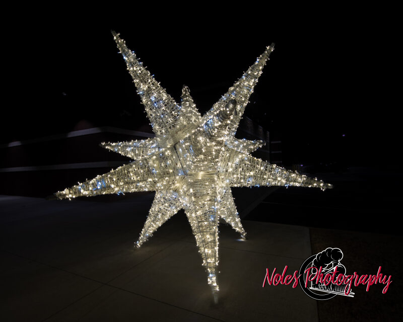 2023-Opelika-Decorations-3596