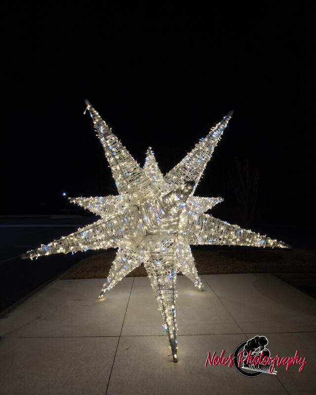 2023-Opelika-Decorations-3602
