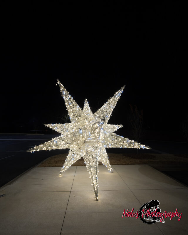 2023-Opelika-Decorations-3603