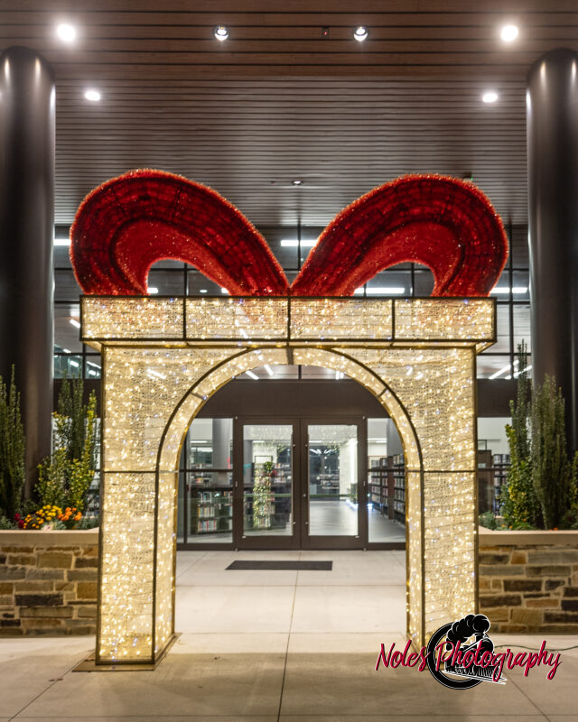 2023-Opelika-Decorations-3611