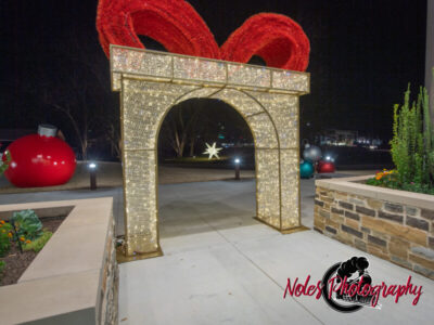 2023-Opelika-Decorations-3612