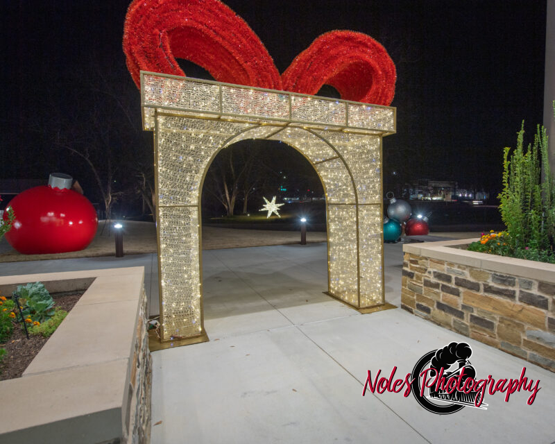 2023-Opelika-Decorations-3612