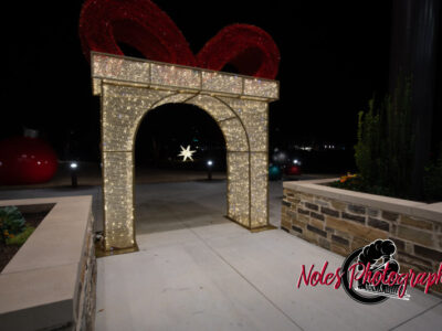 2023-Opelika-Decorations-3613