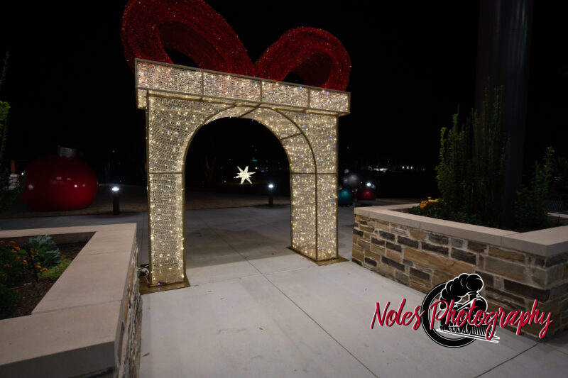 2023-Opelika-Decorations-3613