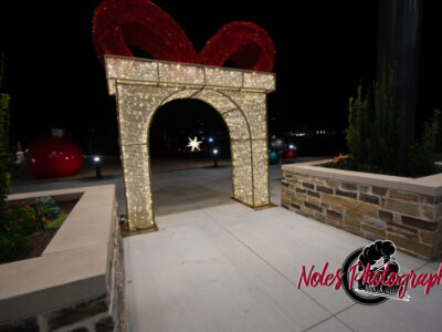 2023-Opelika-Decorations-3614