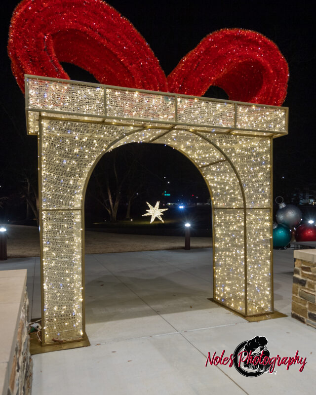 2023-Opelika-Decorations-3615