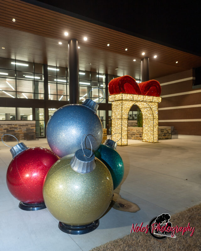 2023-Opelika-Decorations-3616