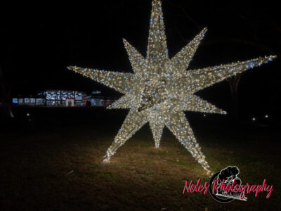 2023-Opelika-Decorations-3623
