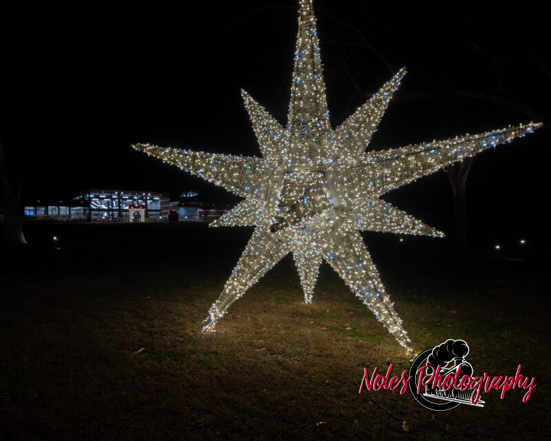 2023-Opelika-Decorations-3623