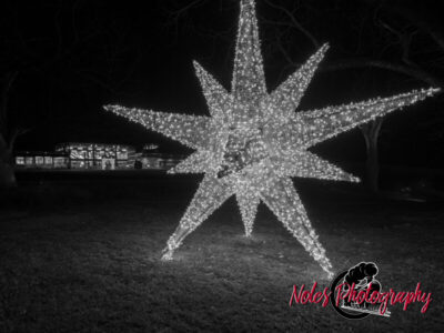 2023-Opelika-Decorations-3624
