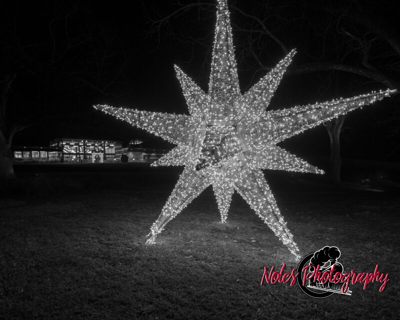 2023-Opelika-Decorations-3624