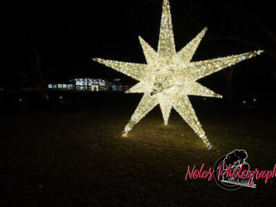 2023-Opelika-Decorations-3625