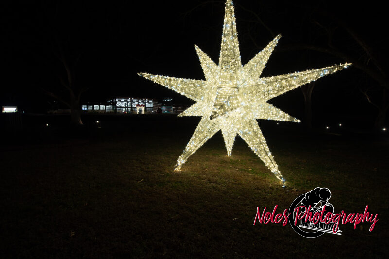 2023-Opelika-Decorations-3625