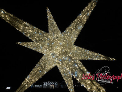 2023-Opelika-Decorations-3626