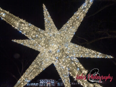 2023-Opelika-Decorations-3627