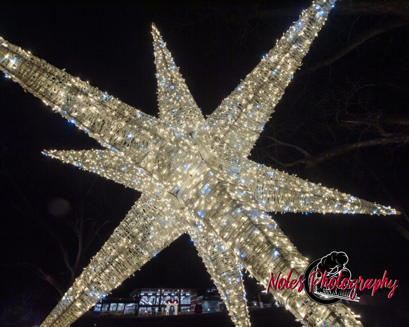 2023-Opelika-Decorations-3627