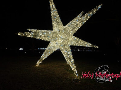 2023-Opelika-Decorations-3628