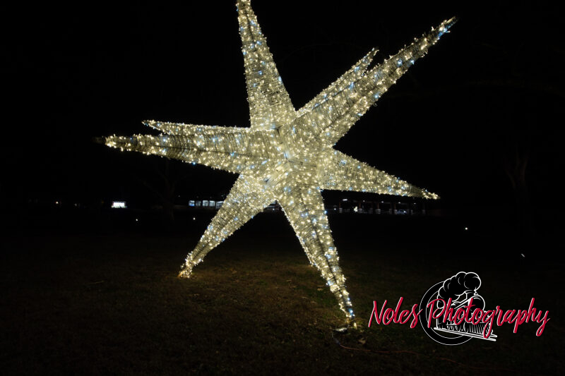 2023-Opelika-Decorations-3628