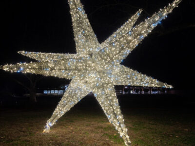 2023-Opelika-Decorations-3629