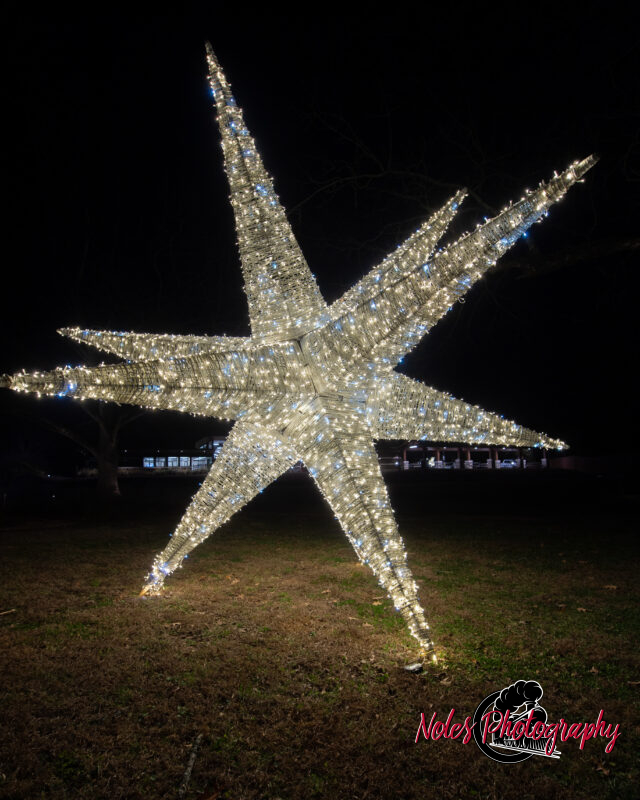 2023-Opelika-Decorations-3629