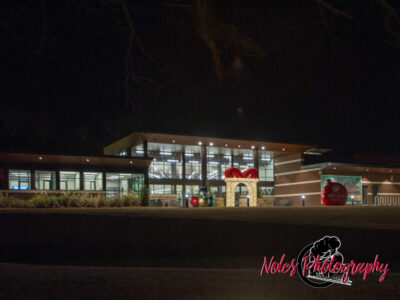 2023-Opelika-Decorations-3630