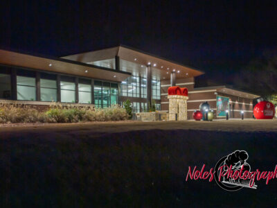 2023-Opelika-Decorations-3631
