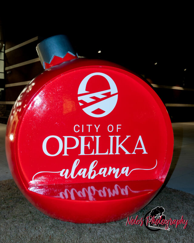 2023-Opelika-Decorations-3635