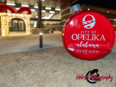 2023-Opelika-Decorations-3636