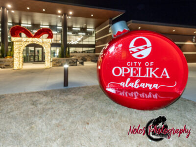 2023-Opelika-Decorations-3637