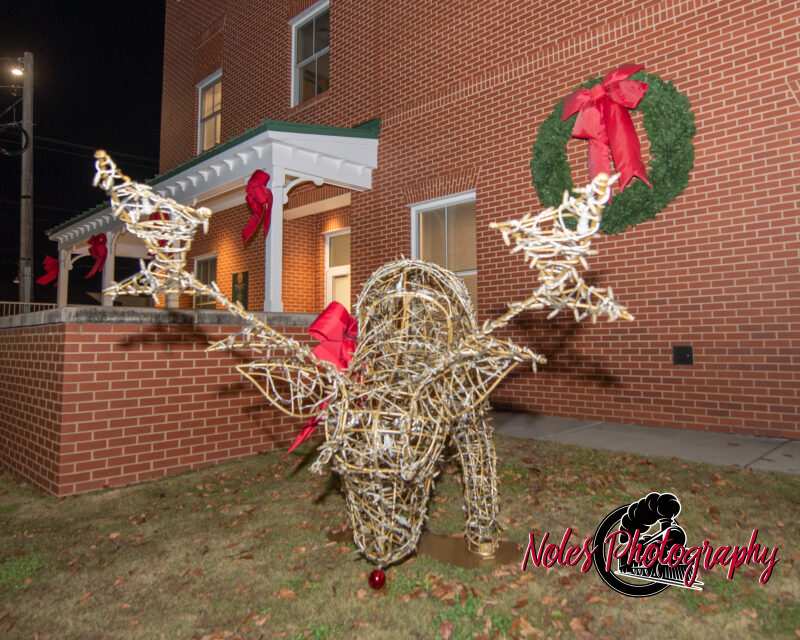 2023-Opelika-Decorations-3647