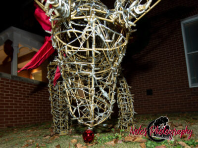 2023-Opelika-Decorations-3655