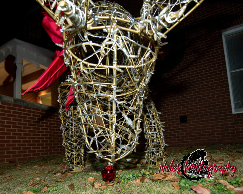 2023-Opelika-Decorations-3655