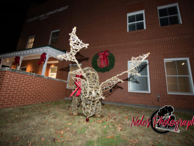2023-Opelika-Decorations-3658