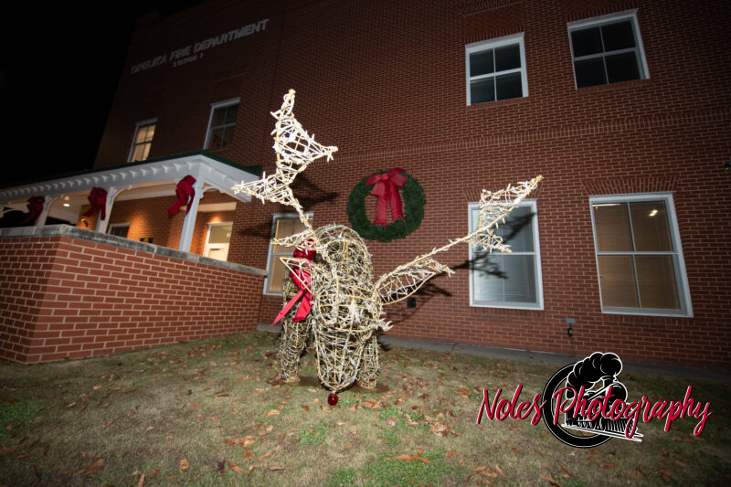 2023-Opelika-Decorations-3658