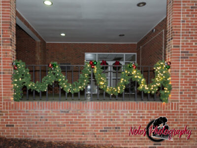 2023-Opelika-Decorations-3676