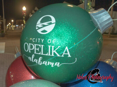 2023-Opelika-Decorations-3681