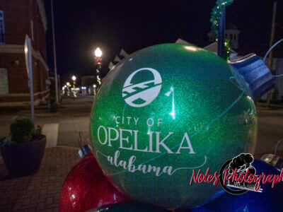 2023-Opelika-Decorations-3682