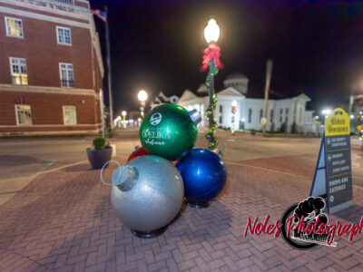 2023-Opelika-Decorations-3684