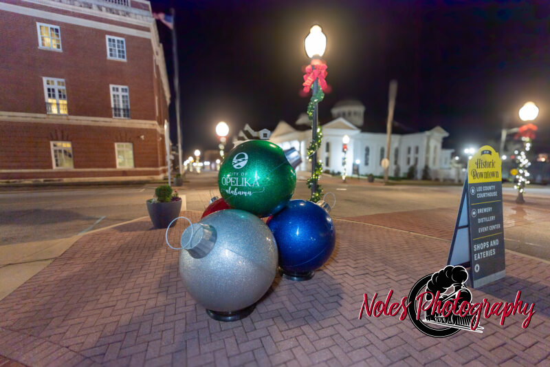 2023-Opelika-Decorations-3684
