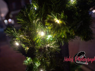 2023-Opelika-Decorations-3685