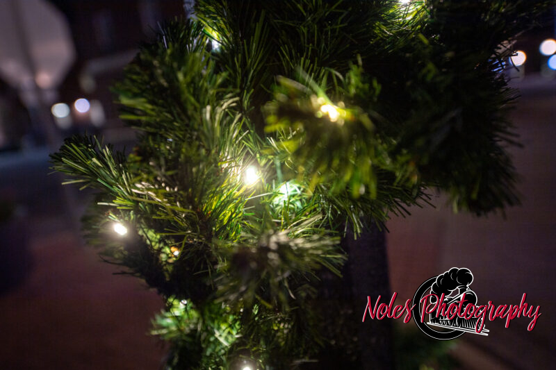 2023-Opelika-Decorations-3685