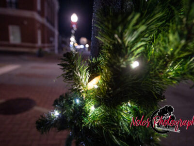2023-Opelika-Decorations-3686